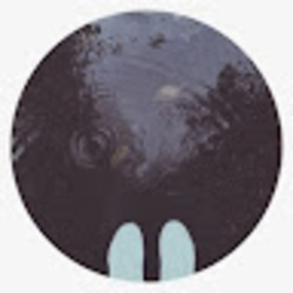 Meet your Posher, Raindrop